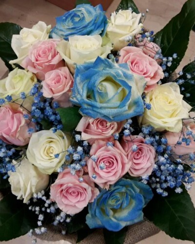 Λευκά ροζ γαλάζια τριαντάφυλλα